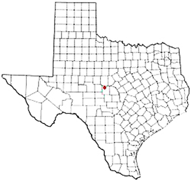 Lohn Texas Apostille Document Services