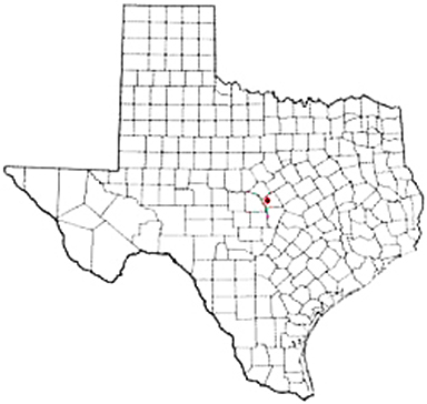 Lometa Texas Apostille Document Services