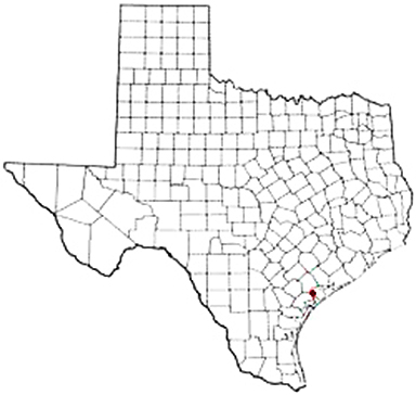 Long Mott Texas Apostille Document Services