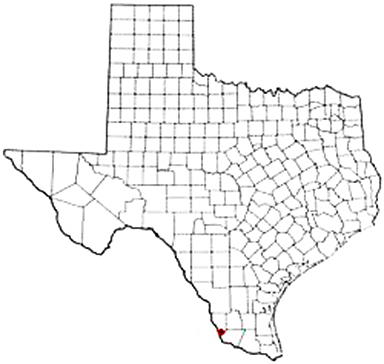 Lopeno Texas Apostille Document Services