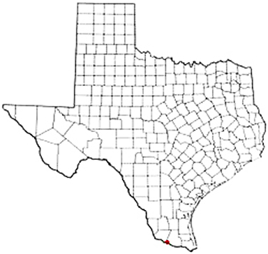 Los Ebanos Texas Apostille Document Services