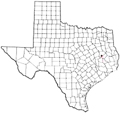 Lovelady Texas Apostille Document Services