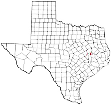 Madisonville Texas Apostille Document Services