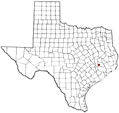 Magnolia Texas Apostille Document Services
