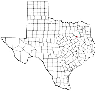 Malakoff Texas Apostille Document Services