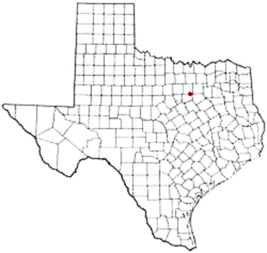 Mansfield Texas Apostille Document Services