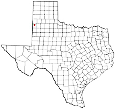 Maple Texas Apostille Document Services