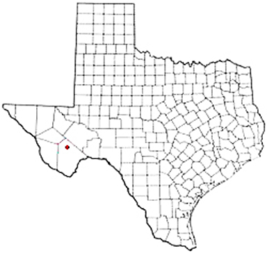 Marathon Texas Apostille Document Services