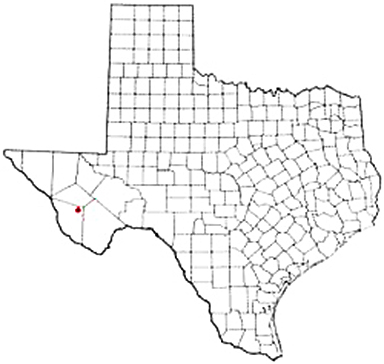 Marfa Texas Apostille Document Services