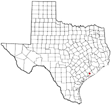 Markham Texas Apostille Document Services