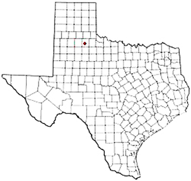 Matador Texas Apostille Document Services