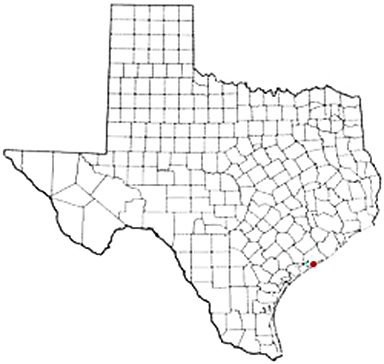 Matagorda Texas Apostille Document Services
