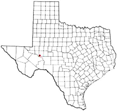 Mccamey Texas Apostille Document Services