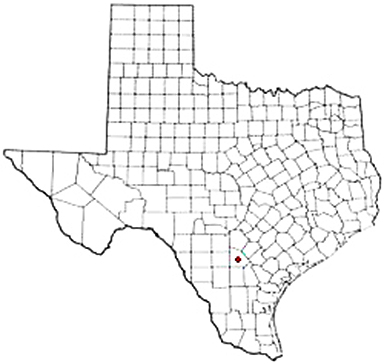 Mccoy Texas Apostille Document Services