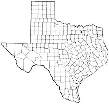 Mckinney Texas Apostille Document Services