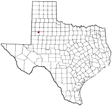 Meadow Texas Apostille Document Services