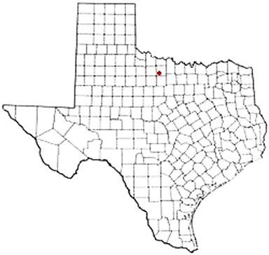 Megargel Texas Apostille Document Services