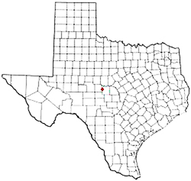 Melvin Texas Apostille Document Services