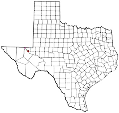 Mentone Texas Apostille Document Services