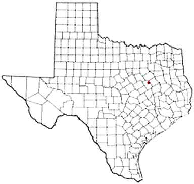 Mexia Texas Apostille Document Services