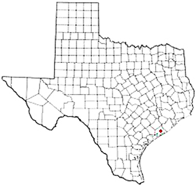 Midfield Texas Apostille Document Services