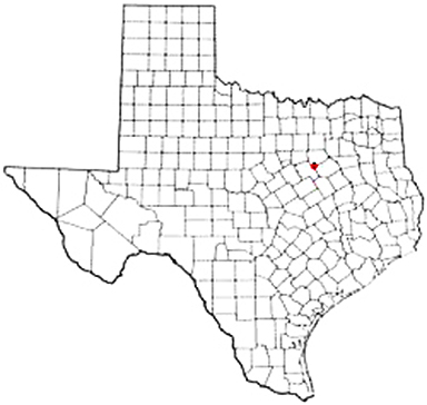 Milford Texas Apostille Document Services