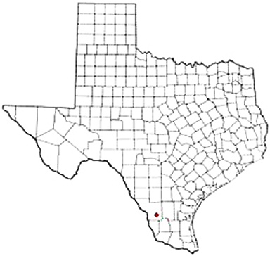 Mirando City Texas Apostille Document Services