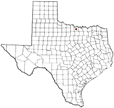 Montague Texas Apostille Document Services
