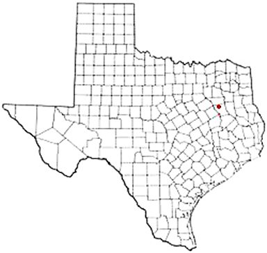 Montalba Texas Apostille Document Services