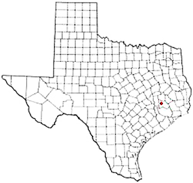 Montgomery Texas Apostille Document Services