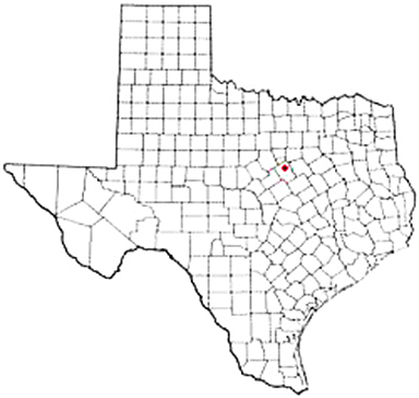 Morgan Texas Apostille Document Services