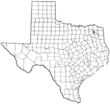 Mount Vernon Texas Apostille Document Services