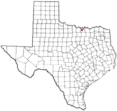 Myra Texas Apostille Document Services