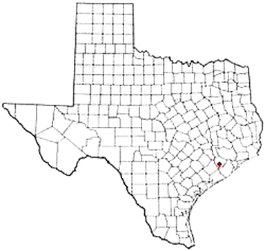 Needvile Texas Apostille Document Services
