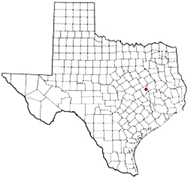 New Baden Texas Apostille Document Services