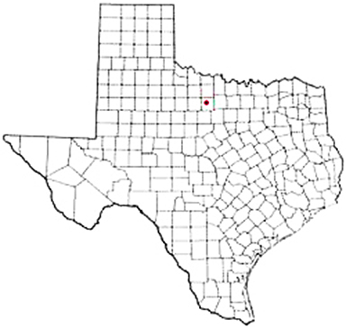 Newcastle Texas Apostille Document Services