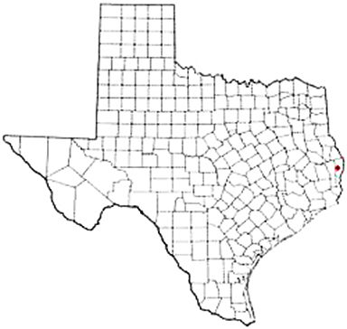 Newton Texas Apostille Document Services