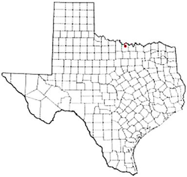 Nocona Texas Apostille Document Services