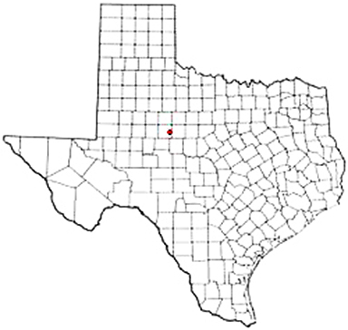 Nolan Texas Apostille Document Services