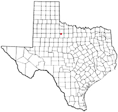 Obrien Texas Apostille Document Services