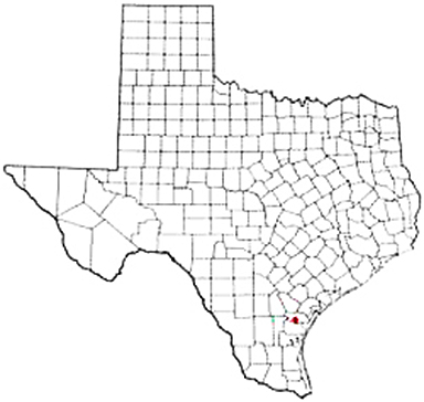 Odem Texas Apostille Document Services