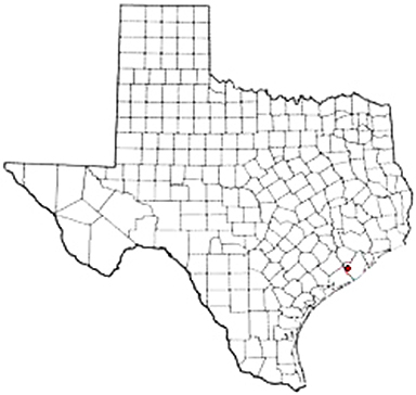 Old Ocean Texas Apostille Document Services