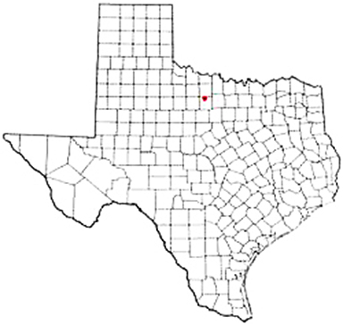 Olney Texas Apostille Document Services