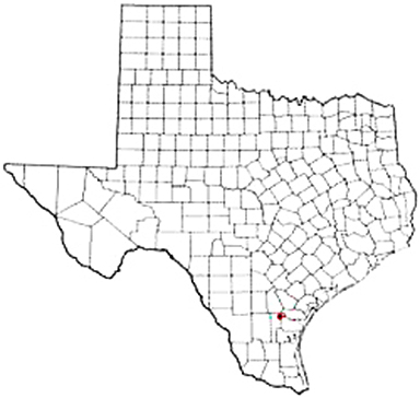 Orange Grove Texas Apostille Document Services
