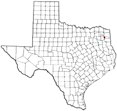Ore City Texas Apostille Document Services