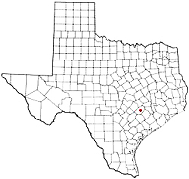 Ottine Texas Apostille Document Services