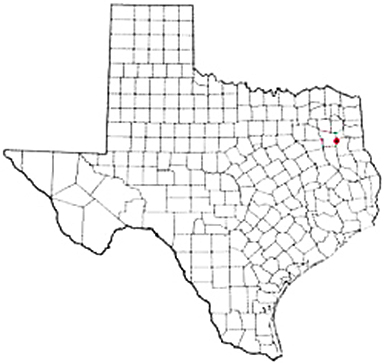 Overton Texas Apostille Document Services