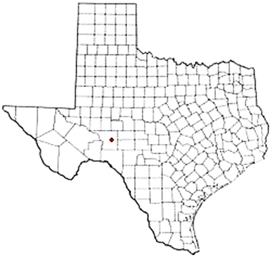 Ozona Texas Apostille Document Services