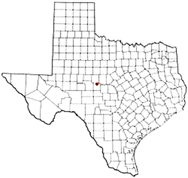 Paint Rock Texas Apostille Document Services