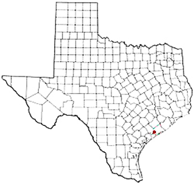 Palacios Texas Apostille Document Services